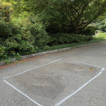 Picasso Paving - Before - Masonry/Concrete Near Me
