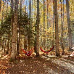 Cosby Campground