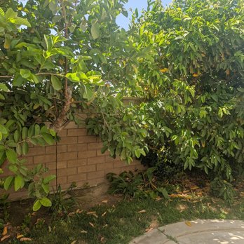 All Terrain Landscaping - Before - Landscape Architects or Designers Near Me - Perris, California