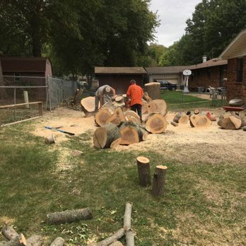 Qce Tree Service - Tree Services Near Me Qce Tree Service - Tree Services Near Me