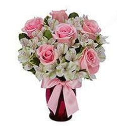 Van Veghel's Flowers