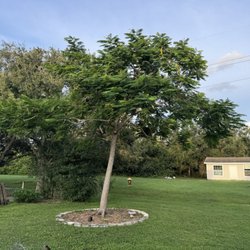 Southern Comfort Tree Service