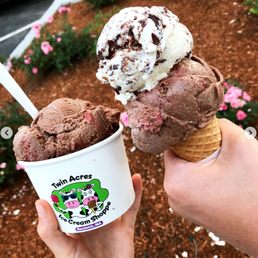 chocolate truffle raspberry is the BEST chocolate truffle raspberry is the BEST