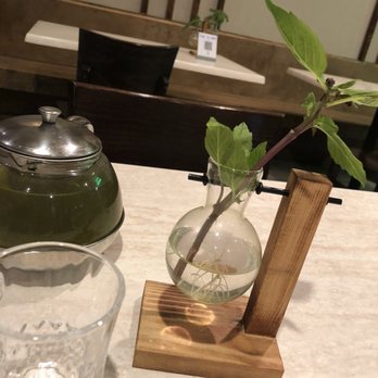 Trendy Vegan - Green tea, soothing and heated too perfection! - Vegan Near Me - Houston, Texas Trendy Vegan - Green tea, soothing and heated too perfection! - Vegan Near Me - Houston, Texas