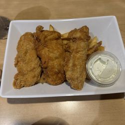The Land - Chicken Tenders