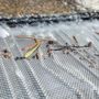 Photo of American Gutter Contractor