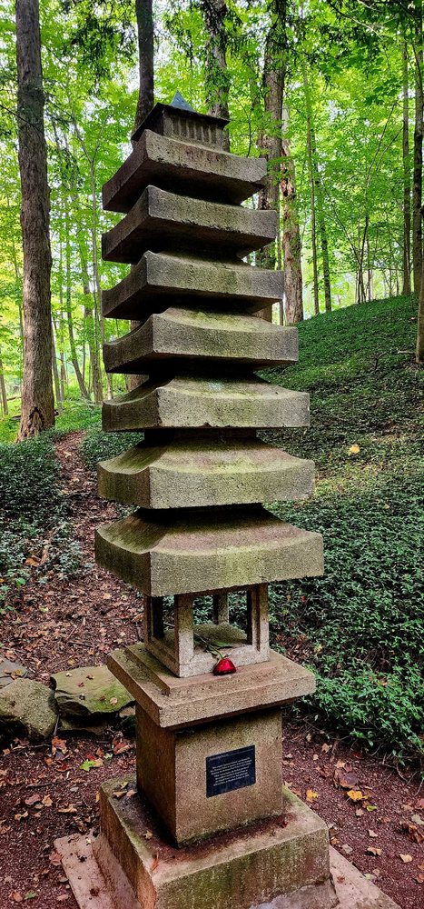 Social spots from Root Glen