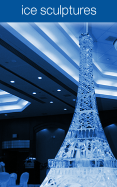 The Iceman Toronto by null