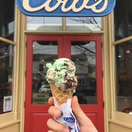 Mint Chocolate Chip