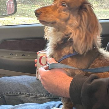 Southside Pet Clinic - Cooper - Veterinarians Near Me - Gadsden,, Alabama Southside Pet Clinic - Cooper - Veterinarians Near Me - Gadsden,, Alabama