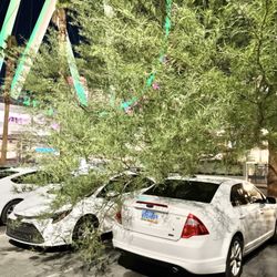 Some people will park anywhere! People are crazy @ The Linq Promenade - 7/26/25