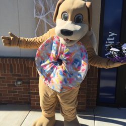 MainStreet Family Care - Even Dr. Wags had to dress up for Halloween.