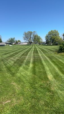 Lawns - These lawns were getting pretty tall so I went straight to work at getting them knocked out and looking nice. My priority is your lawns and making them look spectacular and taking care of them as if they were my own. Lawns - These lawns were getting pretty tall so I went straight to work at getting them knocked out and looking nice. My priority is your lawns and making them look spectacular and taking care of them as if they were my own.