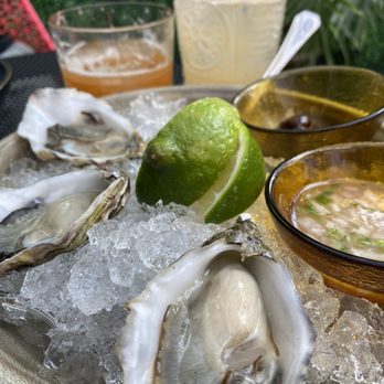 Bar Sótano - 1$ oysters - New Mexican Cuisine Near Me - Chicago, Illinois Bar Sótano - 1$ oysters - New Mexican Cuisine Near Me - Chicago, Illinois