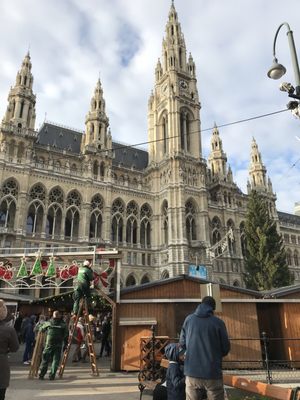 Vienna City Hall by null