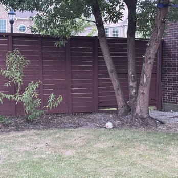 Castillos - Cleaned bushes. Well landscape. All debris was hauled away. - Landscaping Near Me - Houston, Texas