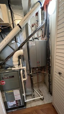 Narwhal Plumbing Logo