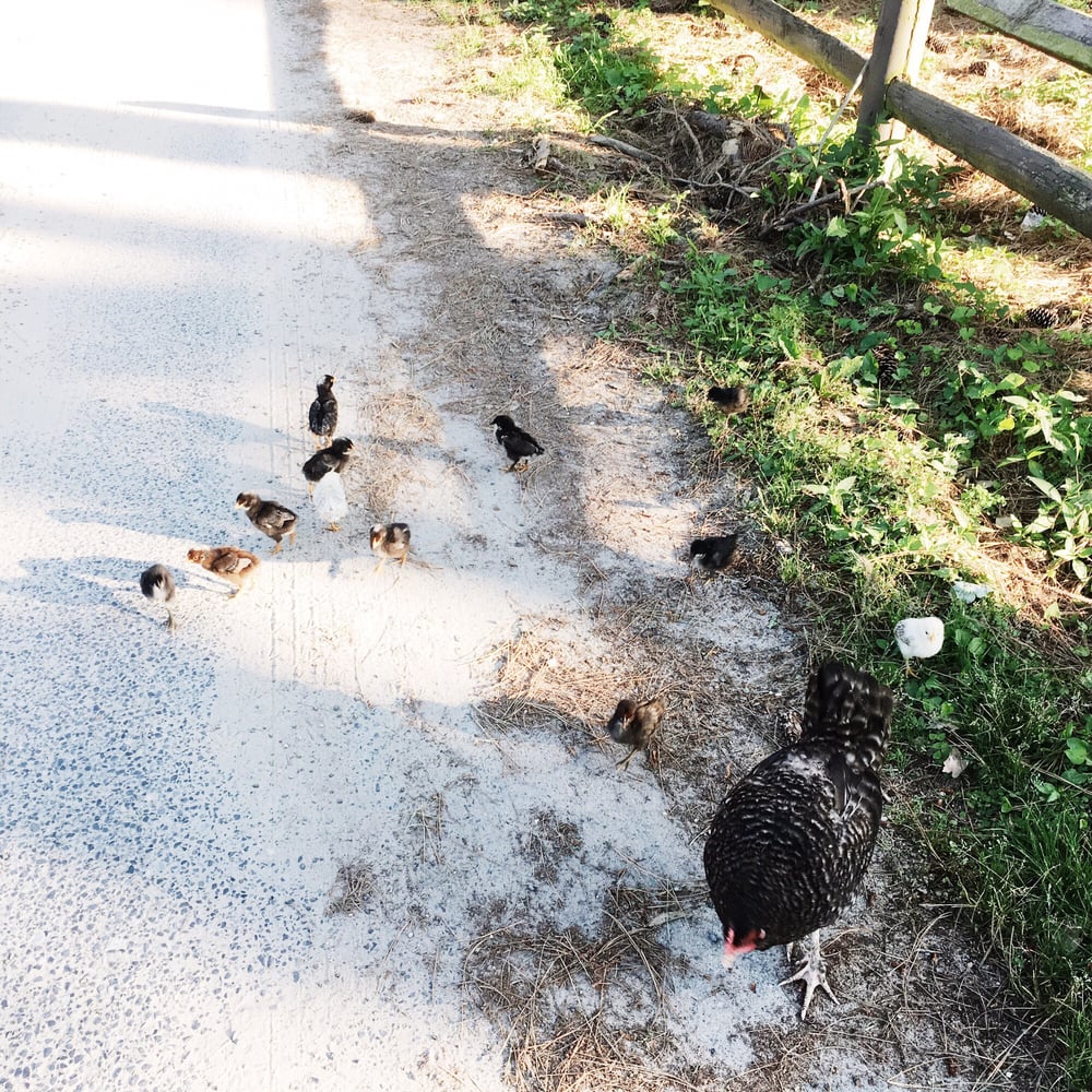 HOLLY LAKE CAMPSITE Updated August 2024 53 Photos & 18 Reviews