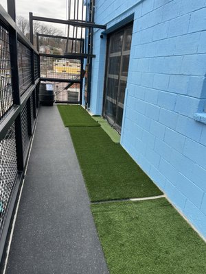 Snouts & Stouts - Dog Bar by null