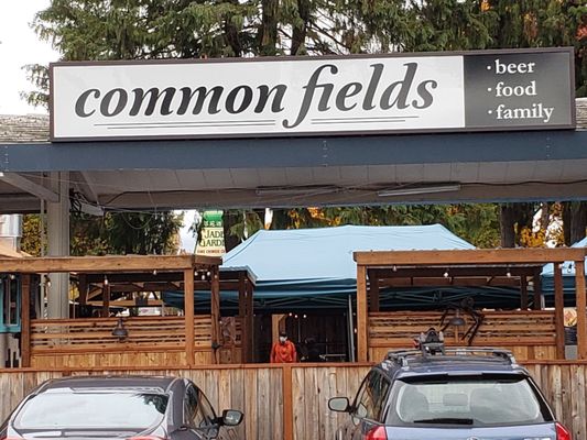 Common Fields by null