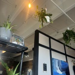 Phi Eco Salon