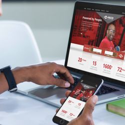 Articulate Solutions Marketing & Graphic Design - Website design for PECO Pallet.
