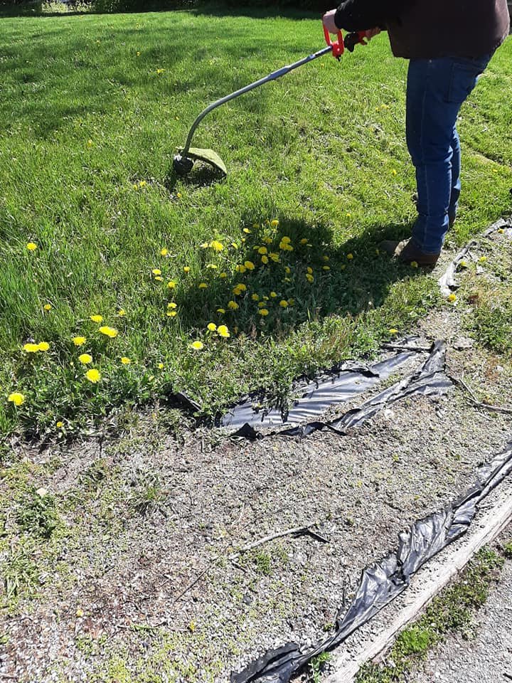 PUIT LAWN SERVICES Bellefonte, Pennsylvania Lawn Services Phone