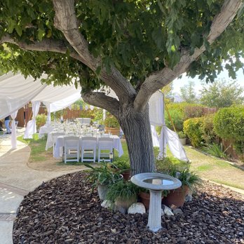 Trejo Party Rentals - 20x30 tent with drapping, chairs, tables, and tablecloths. - Party Supplies Near Me Trejo Party Rentals - 20x30 tent with drapping, chairs, tables, and tablecloths. - Party Supplies Near Me