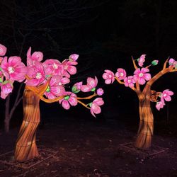 ZooLights