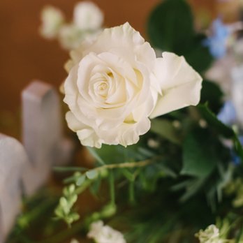 Flower Company - Florists Near Me - San Clemente, California Flower Company - Florists Near Me - San Clemente, California
