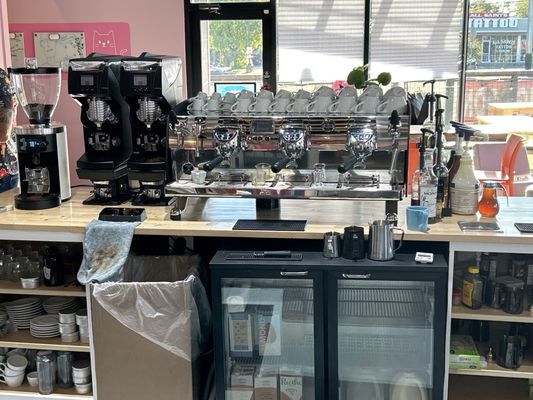 Neon Belly Coffee & Bakery by null