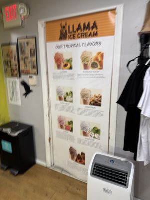 Llama Ice Cream by null