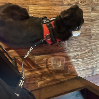 Chuy's - My service dog Thud - Tex-Mex Near Me - Tulsa, Oklahoma