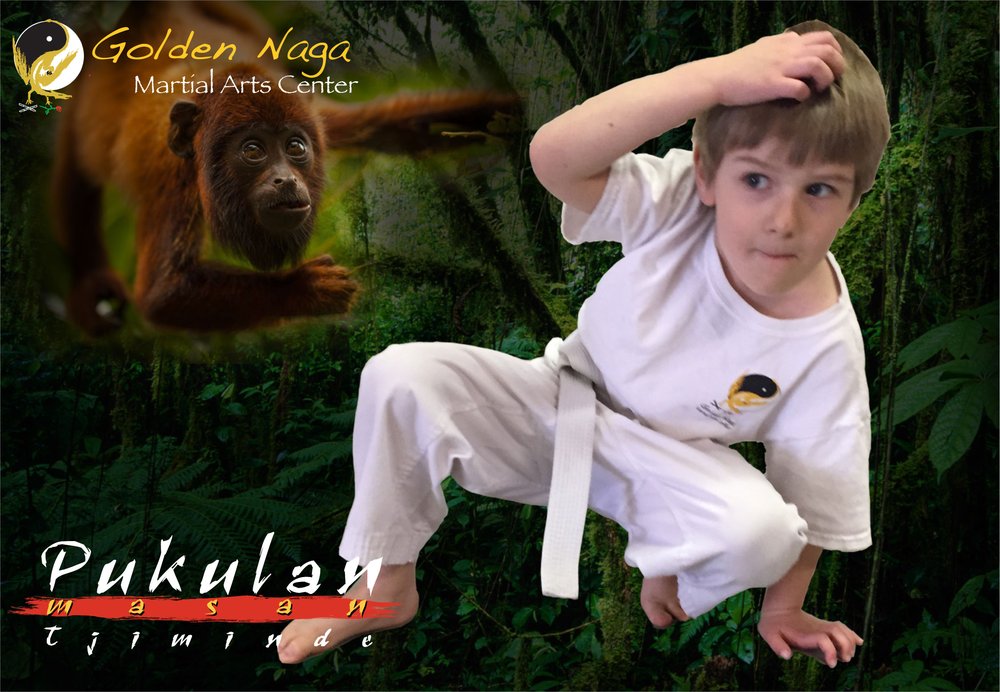 GOLDEN NAGA MARTIAL ARTS CENTER Updated September 2024 15 Photos