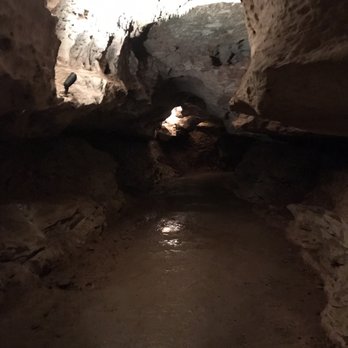 Longhorn Cavern State Park - There will be water on the path so wear shoes, not sandals - Tours Near Me - Burnet, Texas