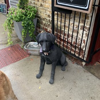 Oliver Bentleys - Pet Stores Near Me - Savannah, Georgia