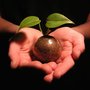 Photo of Body Elemental Therapeutic Massage