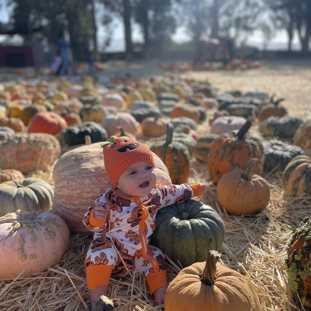 THE BEST 10 PUMPKIN PATCHES in SOLANO COUNTY, CA - Updated 2026 - Hours -  Yelp