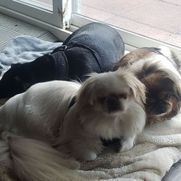 Sweet Lizzie tucked behind her sister says Thank you for your care!