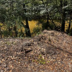 The Retreat RV & Campground On Styx River - View from cabin