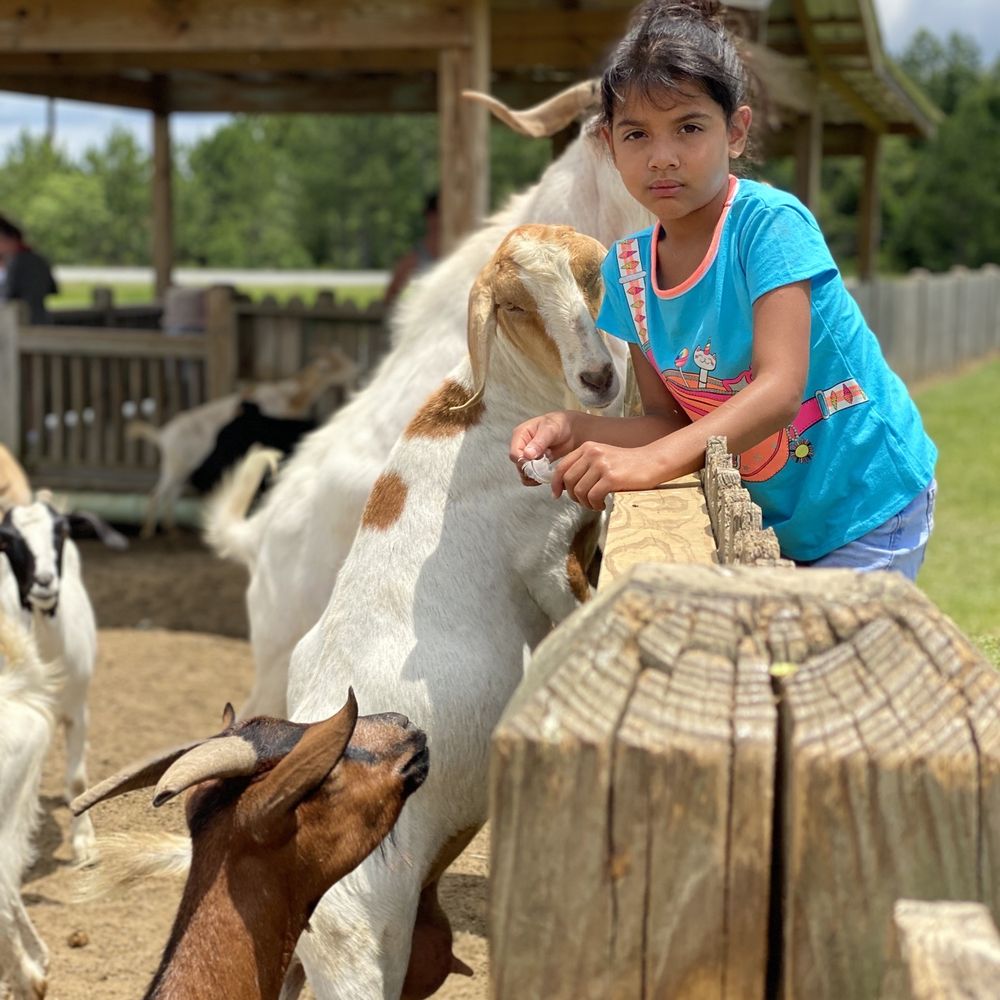 Mosley's World Famous 'Animal Exit' Farm - Petting Zoos Near Me Mosley's World Famous 'Animal Exit' Farm - Petting Zoos Near Me