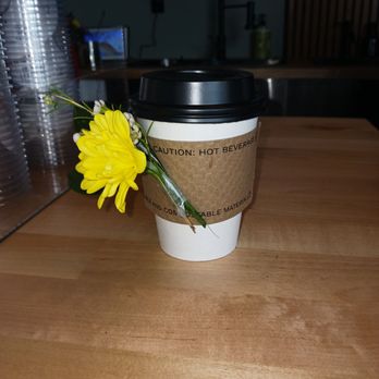 The Bloom Lounge - Coffee & Tea Near Me - Apopka, Florida The Bloom Lounge - Coffee & Tea Near Me - Apopka, Florida