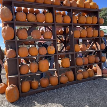 Eckert's Millstadt Fun Farm - Pick Your Own Farms Near Me - Millstadt, Illinois