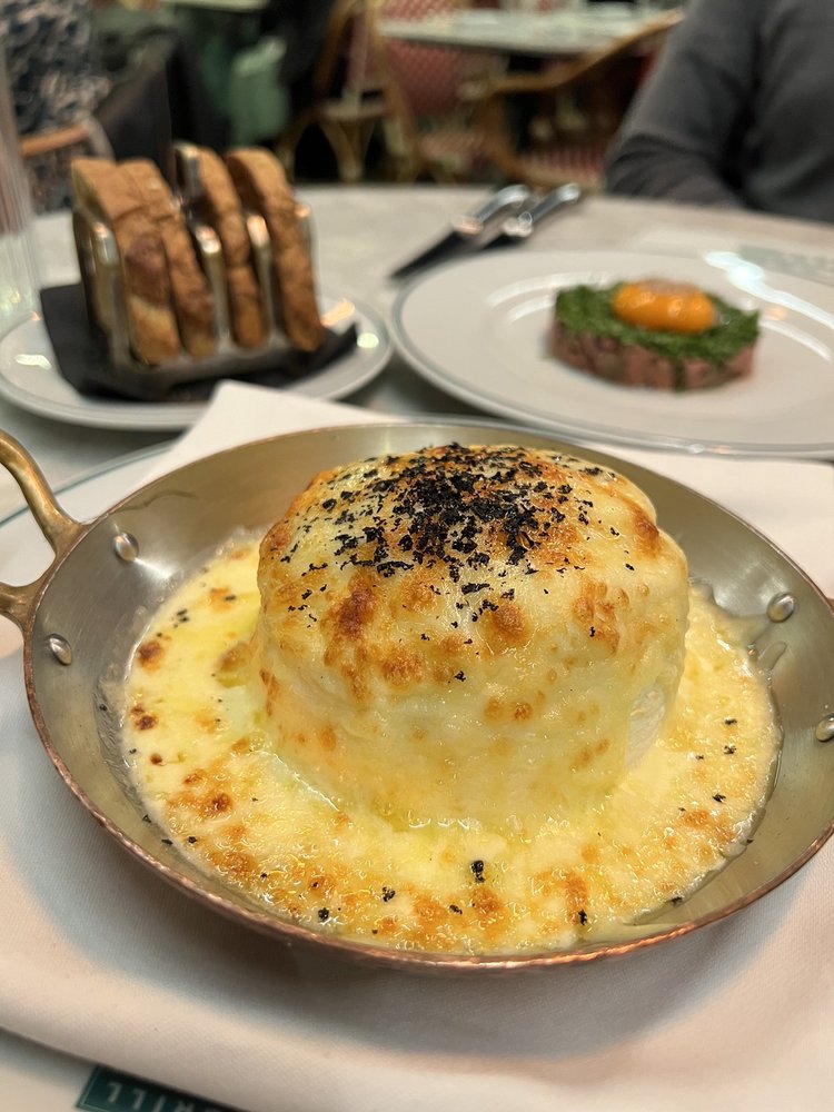 The Ivy