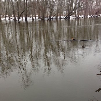 Fort Custer Outfitters - River jumped the banks. - Recreation Centers Near Me - Augusta, Michigan