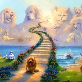Honor My Pet Crematory Services - Pet Cremation Services Near Me - Acworth, Georgia Honor My Pet Crematory Services - Pet Cremation Services Near Me - Acworth, Georgia