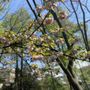 Photo of orto botanica