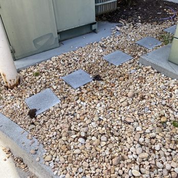 Uptown at St. John's - More pet feces on walkway - Apartments Near Me - Jacksonville, Florida Uptown at St. John's - More pet feces on walkway - Apartments Near Me - Jacksonville, Florida