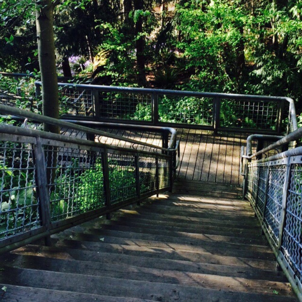 Fairview Park - Stairs - Parks Near Me - Seattle, Washington