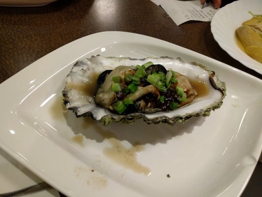 Captain's Catch by null